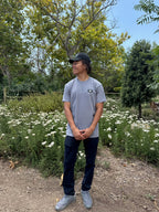 Gray T-shirt with small chest logo, crew neck, short sleeves