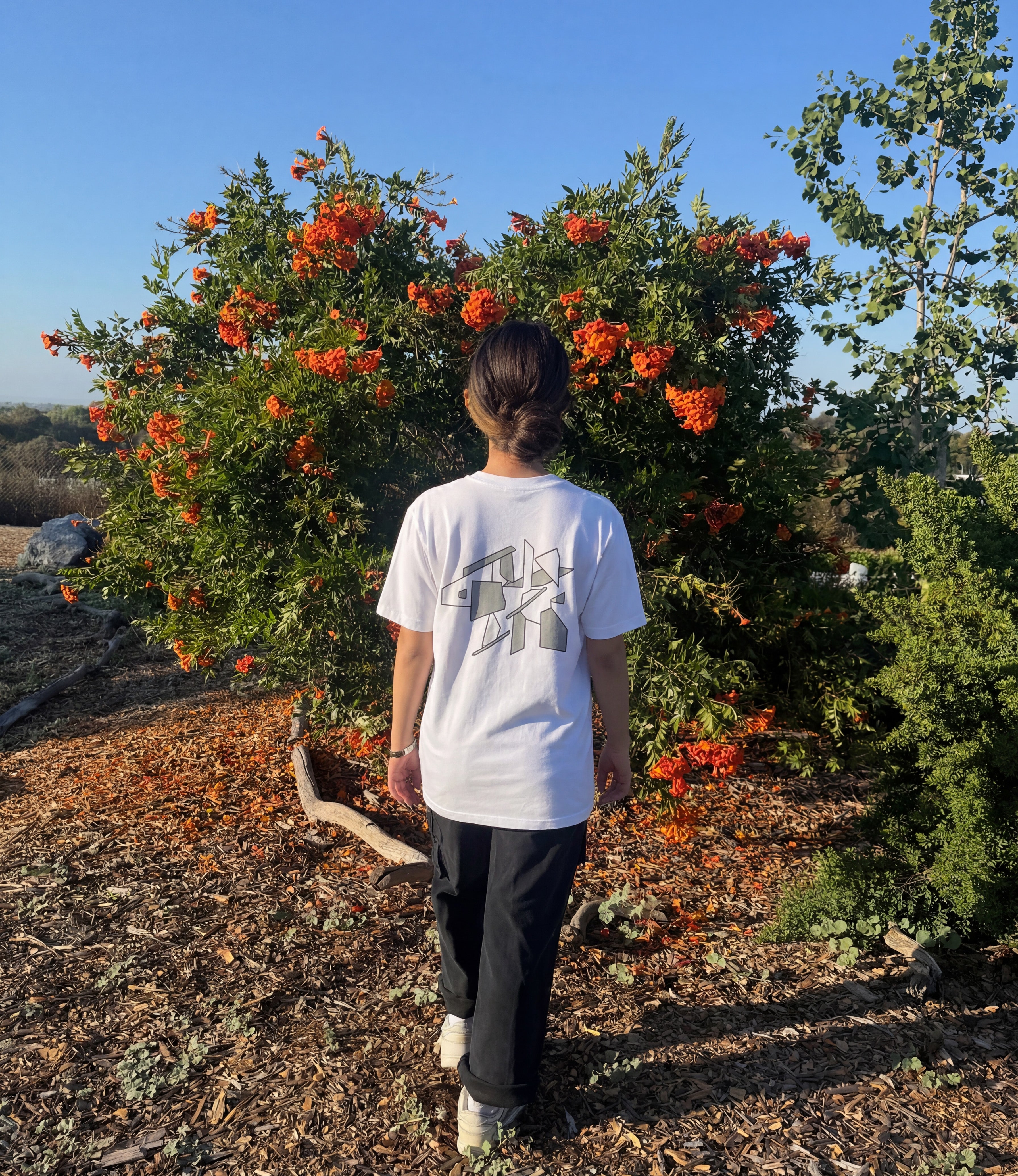 White T-shirt with large back graphic, crew neck, short sleeves