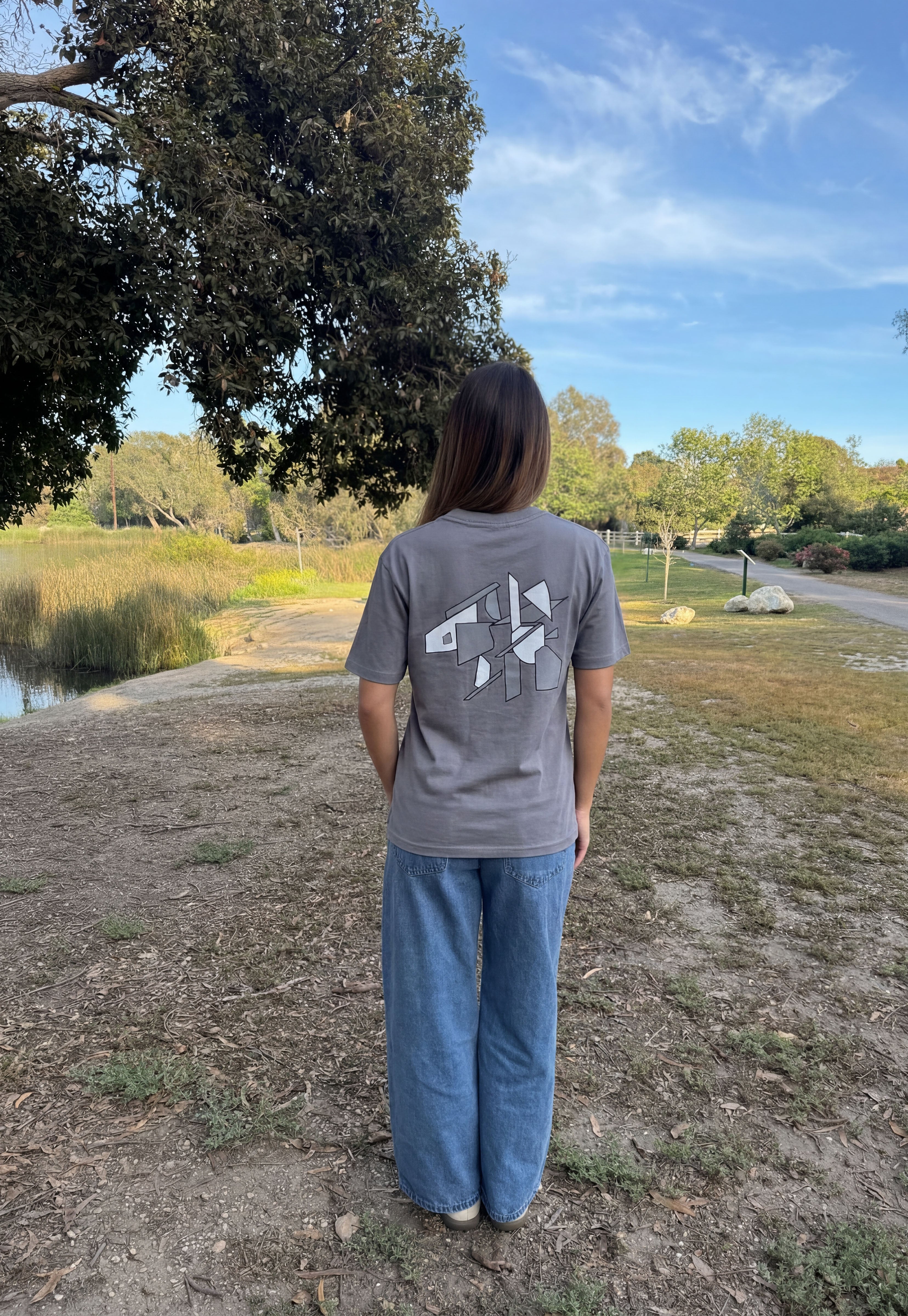 Gray graphic logo T-shirt, crew neck, short sleeves; back print visible.